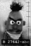 humor bert is evil